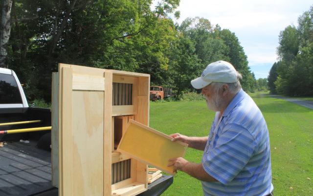 beekeeping business profits how to start a bee farm business