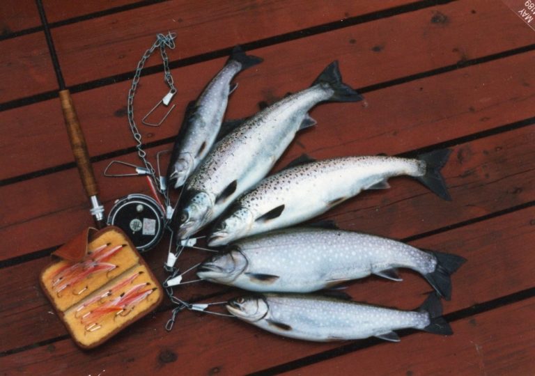 Experiment with tandem streamers for best open water action The County