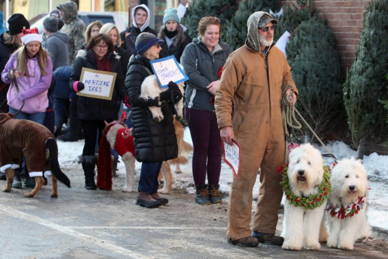 Dogs parade through downtown Houlton for Ark Animal Sanctuary’s ‘12