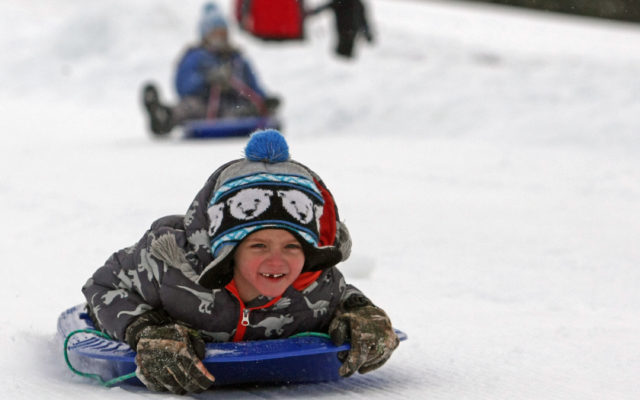 Moosestompers winter carnival offers family fun - Vimarsana News