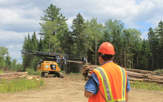 Mechanized Logging Operations Program recruiting students - Vimarsana News