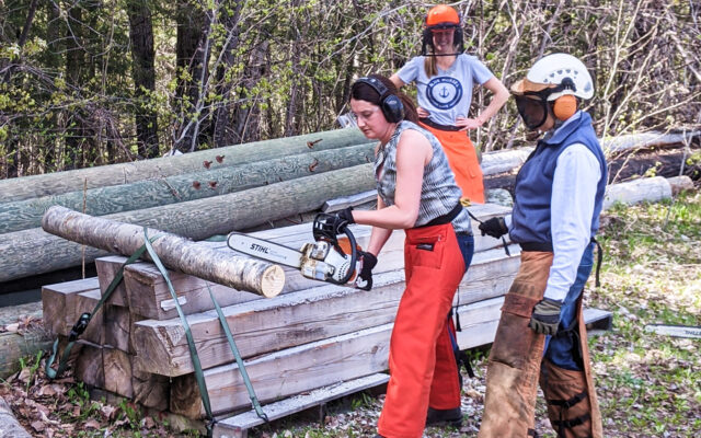 Southern Aroostook Soil and Water Conservation District hosts women's chainsaw safety workshop - Vimarsana News