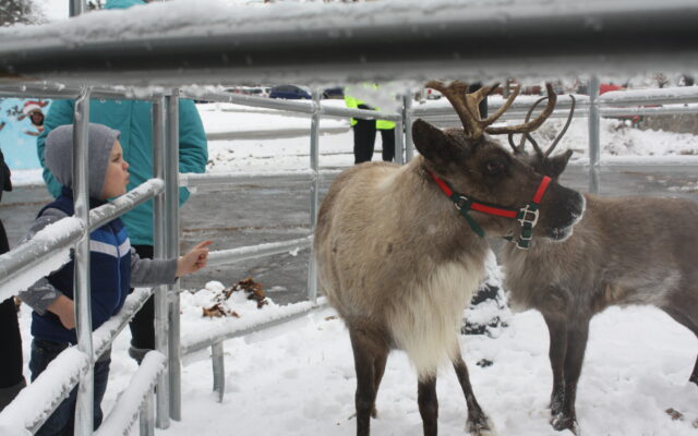 Santa's reindeer help Caribou kick off holiday season - Vimarsana News
