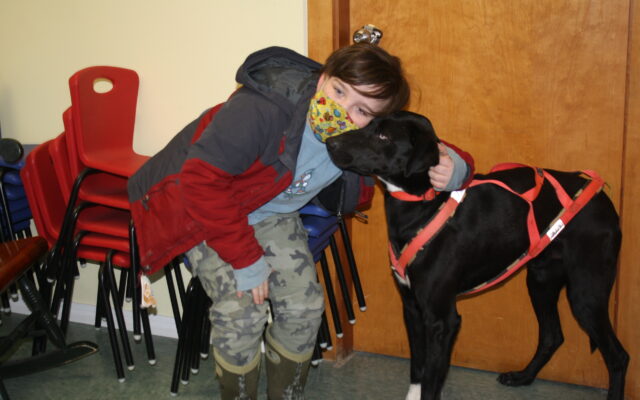 Caribou families learn about dog sledding with visit from musher, sled dog - Vimarsana News